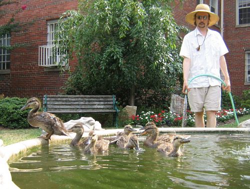 Christopher Warnock with Ducklings