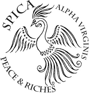 Spica Mirror Design