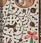 Medieval Border Illustration