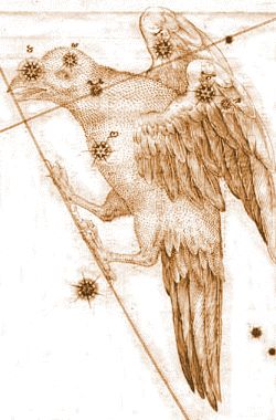 The Constellation Corvus, the Raven