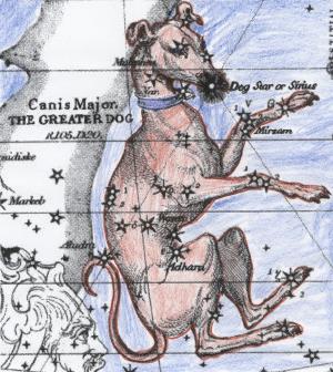 Canis Major and Sirius
